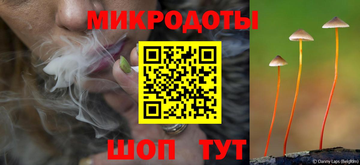 Псилоцибиновые грибы Psilocybe  Вход с VPN  Саратов 